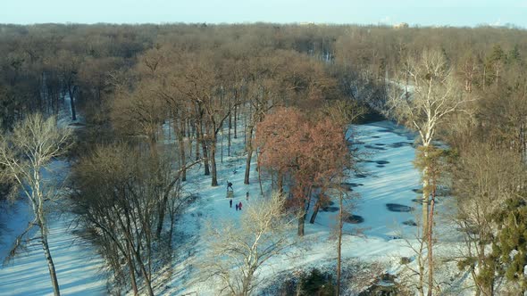 Flying over the park in the snow. White snow, gray trees without leaves. Ruins. alt