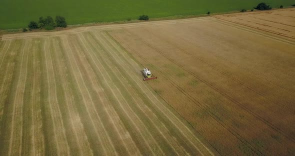 The Harvester Works On The Field Collects Wheat, A View From A Height
