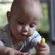 Portrait Caucasian Baby Infant Looking to Camera Putting Toy in Mouth Teething