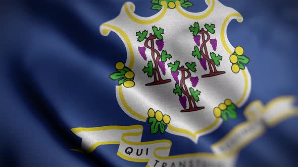 Connecticut State Flag Angle