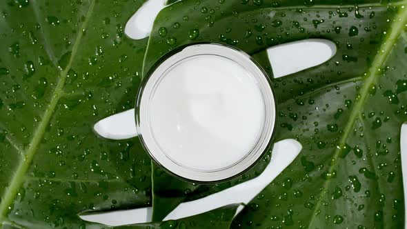 White Cosmetic Cream with Rotation on Background of Tropical Leaves Monstera alt