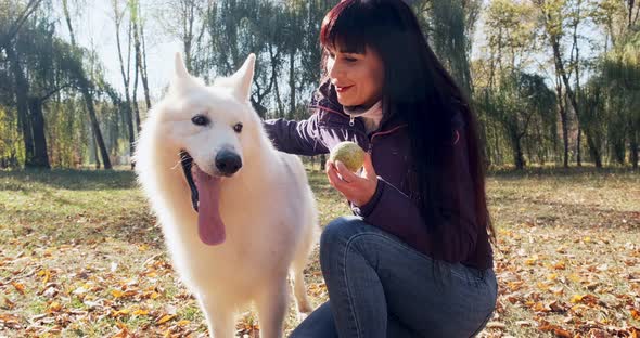 Happy Female Cheerfully Playing and Sitting with Dog in the Autumn Park. Love and Friendship with alt