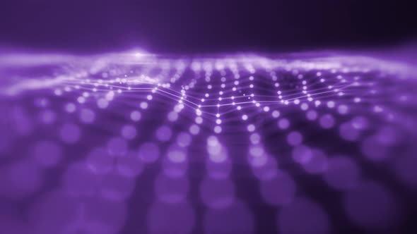 Purple Plexus Technology Lines
