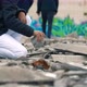 Child plays with stones in front of graffiti. - VideoHive Item for Sale