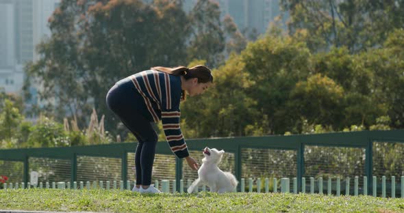 Woman train her dog at park