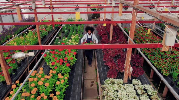 Aerial Drone Shoot alt