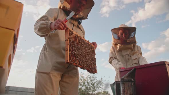 A Couple of Beekeepers Takes Out the Frame with Honey From a Bee Hive