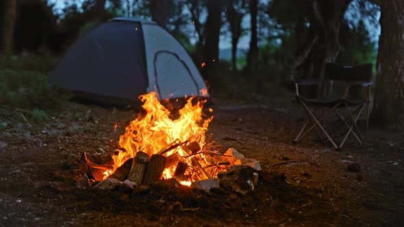 Camp Fire (4K) alt