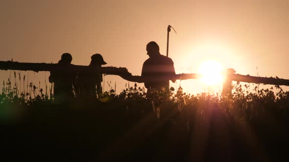 Silhouette of Young Farmer in Village Standing with Sickle Scythe Rake Tool in Green Summer alt