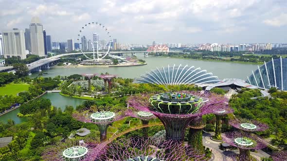 Aerial View of the Supertree Grove at Gardens by the Bay in Singapore