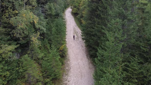 Amazing Cinematic Drone Footage of a Hiker Man on the Train in Summertime