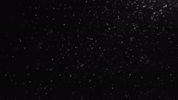 Snow Falling Over Black Background or Night Sky