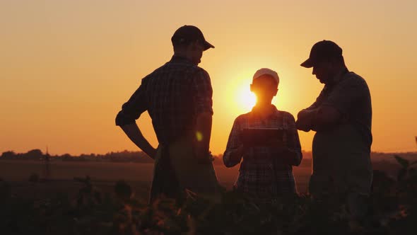 A Family of Farmers Debating in the Field at Sunset alt