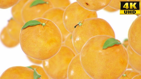 Oranges Background Loops Pack V1 alt