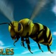 Bee flying from 3 different angles - VideoHive Item for Sale