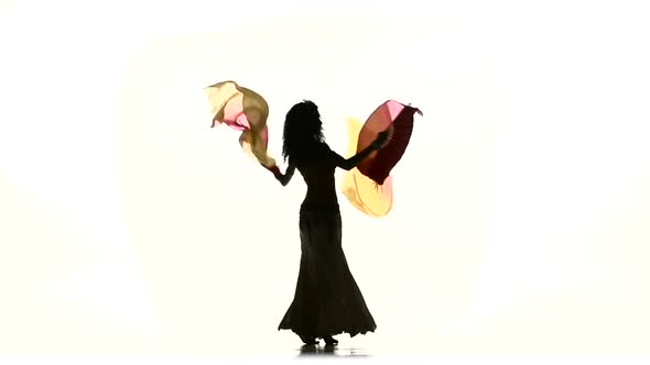 Young Exotic Belly Dancer Woman with Two Long Fans, on White, Silhouette, Shadow, Slow Motion alt