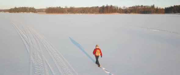 Walking On The Icy Lake alt