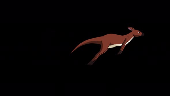 Running australian kangaroo alpha matte animation 4K