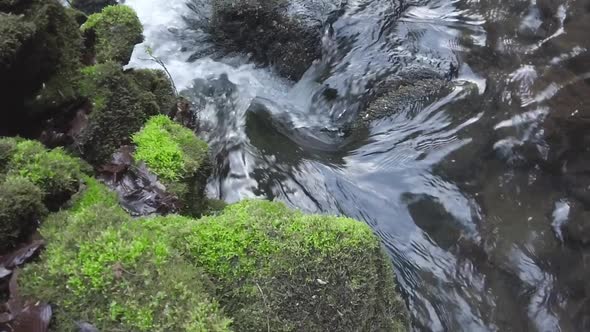 Water Flowing In A Stream alt