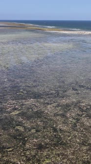 Vertical Video of Low Tide in the Ocean Near the Coast of Zanzibar Tanzania alt