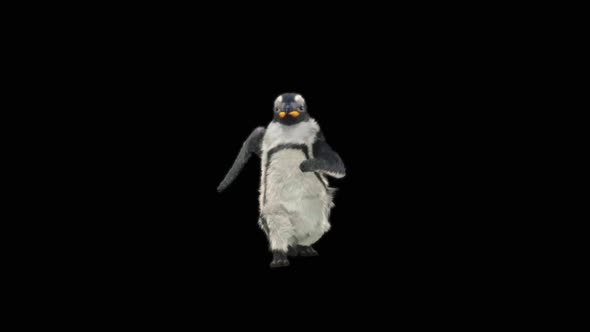 Penguin Dancing HD alt