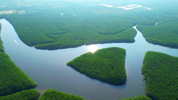4K Aerial view of mangrove forest at khao jom pa, trang, Thailand. 4k Footage alt