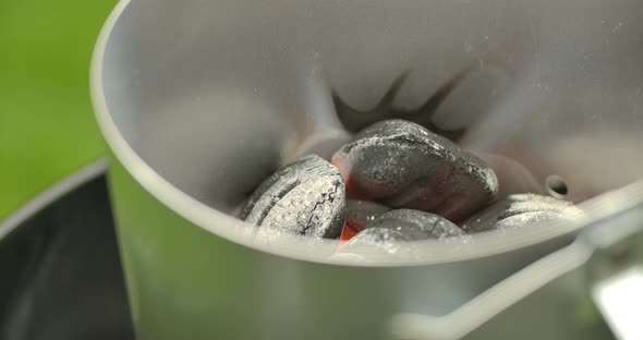 Charcoal Ignition alt