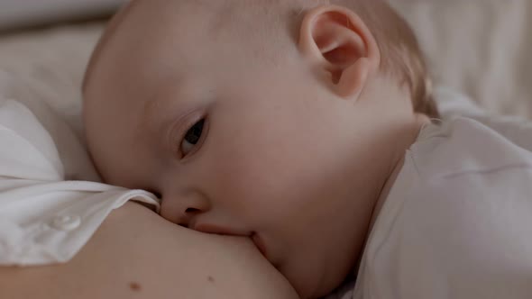 Closeup Adorable Toddler Face Drinking Milk From Mother Breast