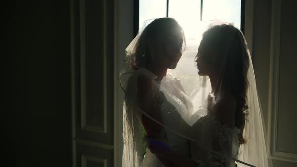 4K Portrait of Asian woman lesbian couple wedding dress hugging together alt