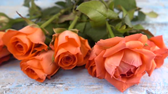 Bouquet of fresh roses flowers drops on vintage wooden light blue surface. Slow motion. alt