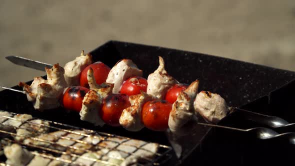 Pieces Of Meat With Tomatoes Roasted In the Fire