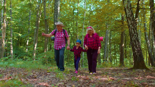 Active Senior Grandmother Grandfather Tourists Walking Hiking with Granddaughter in Summer Wood alt
