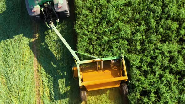 Tractor with a Mechanized Disc Mower alt