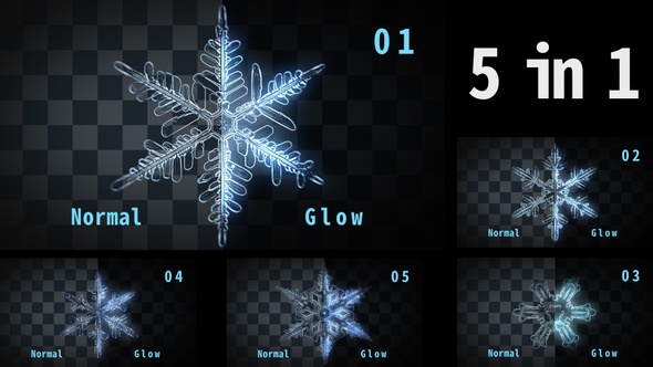 [5 In 1]Snowflakes Condense