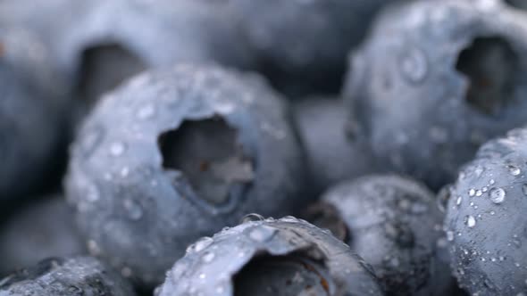 Blueberry with Dew Background Rotates Seamless Loop