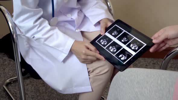 Pregnant Woman and Gynecologist Doctor at Hospital alt