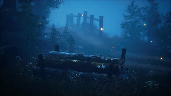 Foreat at Hight with Bright Moon Light alt