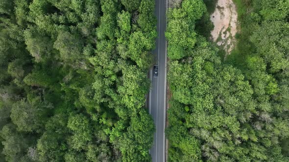 Cars Driving Through The Forest Road. Drone Aerial