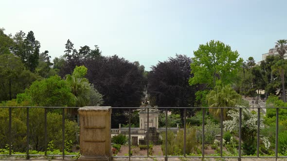 Panoramic View of Botanical Garden of the University of Coimbra