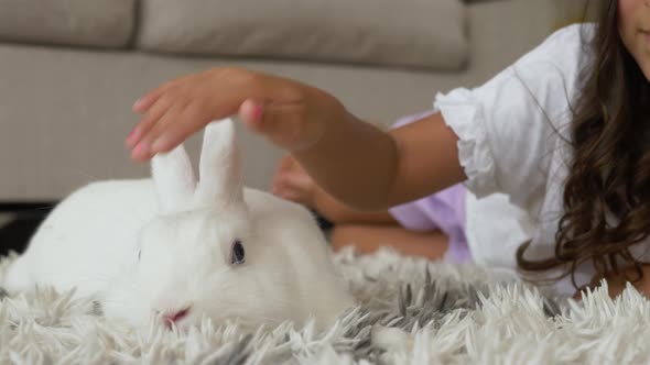 Adorable toddler mixed race girl playing with a real bunny in a living room sitting on the floor
