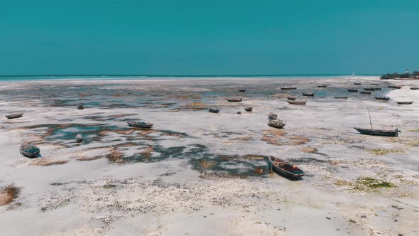 Lot of Fishing Boats Stuck in Sand Off Coast at Low Tide Zanzibar Aerial View alt