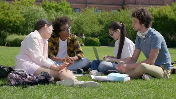 Multiethnic Students Sitting on Grass and Studying Together at Park alt