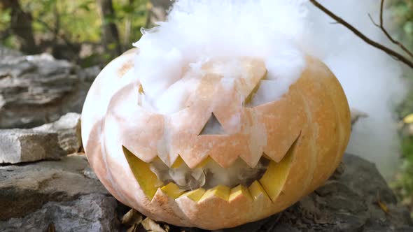 Pumpkin with white smoke 