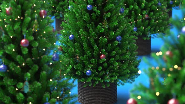Christmas trees rotating on a blue background alt