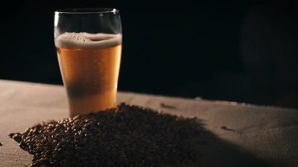 Softly Glowing Glass of Beer Surrounded by a Handful of Ripe Wheat