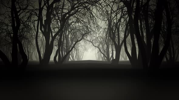 Horror Forest 4k