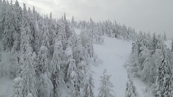 Snowstorm Aerial View of Mountains Winter Time alt