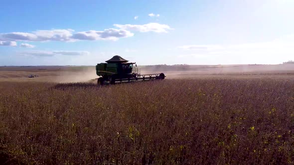 Harvesting Machine on Soybean Field Sunset