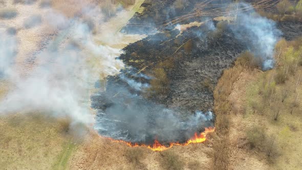 Aerial View Spring Dry Grass Burns During Drought Hot Weather alt