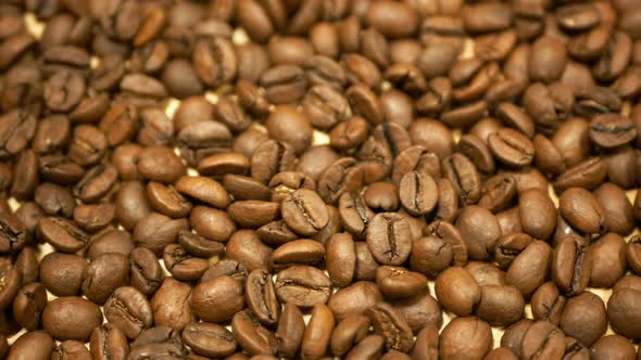 Coffee Beans Detail Roasted Cultivated Brazil. Variety Coffea Arabica Organic Bio Coffee Espresso